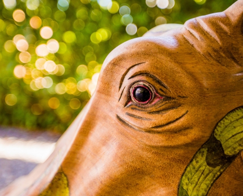 Close up handbeschilderd oog Hippo Small - teak designstoel met handbeschilderde lederen zitting - exotic design